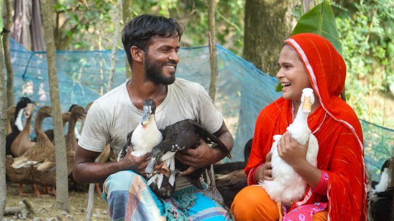 From hundred ducklings to diversified income, chasing the dream