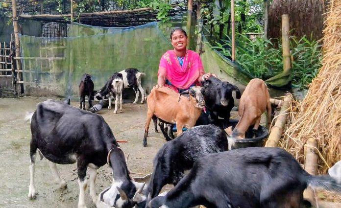 Pratima Rani poses with her goats outside her home